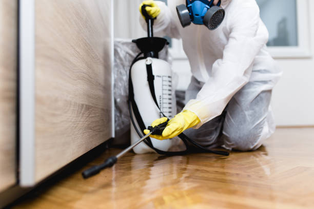 Best Local Pest Control Services  in Gilbert, MN