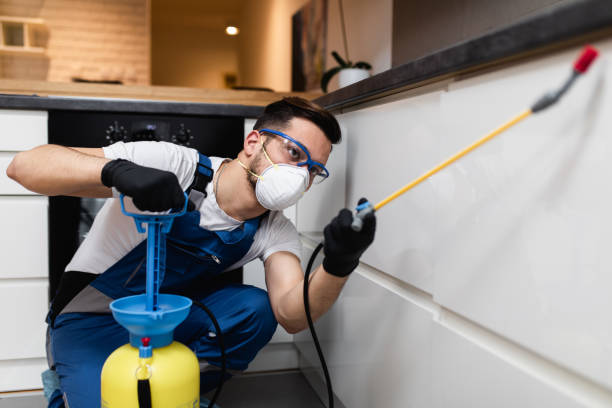 Best Pest Removal Services  in Gilbert, MN