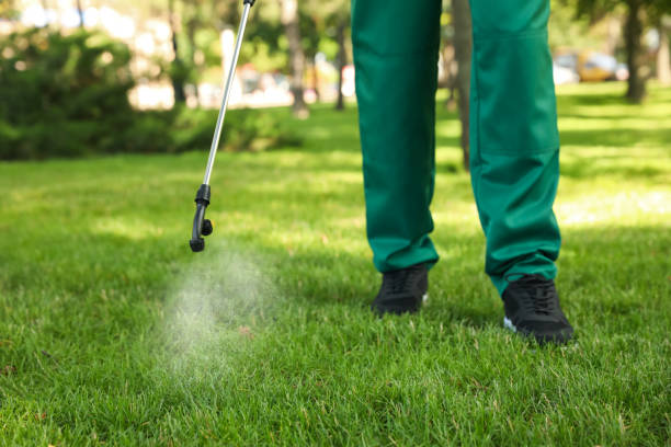 Professional Pest Control in Gilbert, MN