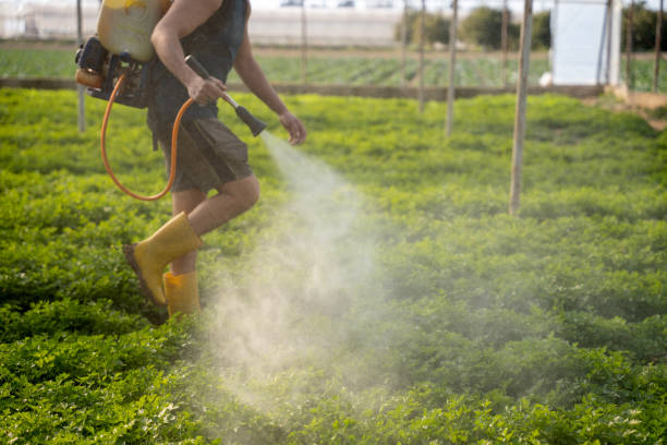 Best Commercial Pest Control Services  in Gilbert, MN