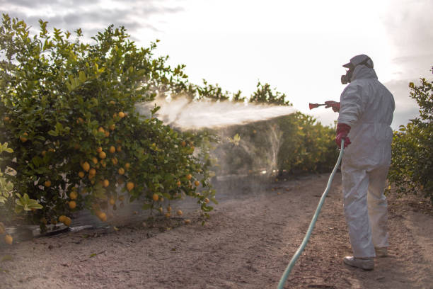 Best Best Pest Control Companies  in Gilbert, MN