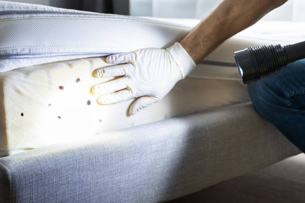 Best Pest Control for Businesses  in Gilbert, MN