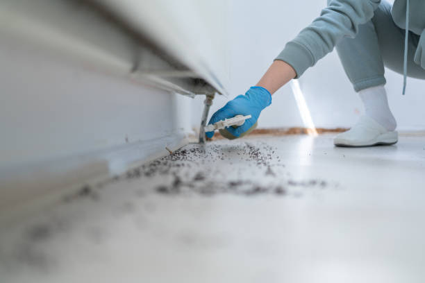 Best Pest Control for Businesses  in Gilbert, MN