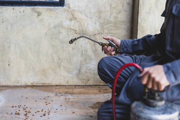 Best Rat Extermination Near Me  in Gilbert, MN